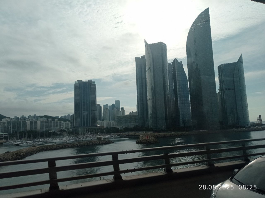 IMG_20250901_201455_306.jpg